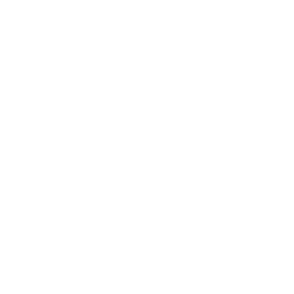 Zone Physical Therapist Greenville SC